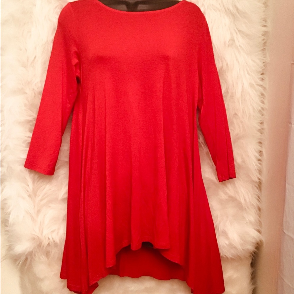Fanfare Tunic dress NWT